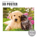 【在庫限り】インテリア 3D 絵 寄り添う犬と猫 2匹 レンチキュラー アニマル 立体 アート トリック 玄関 絵画 北欧 賃貸 背景 プレゼント 贈物 シンプ...