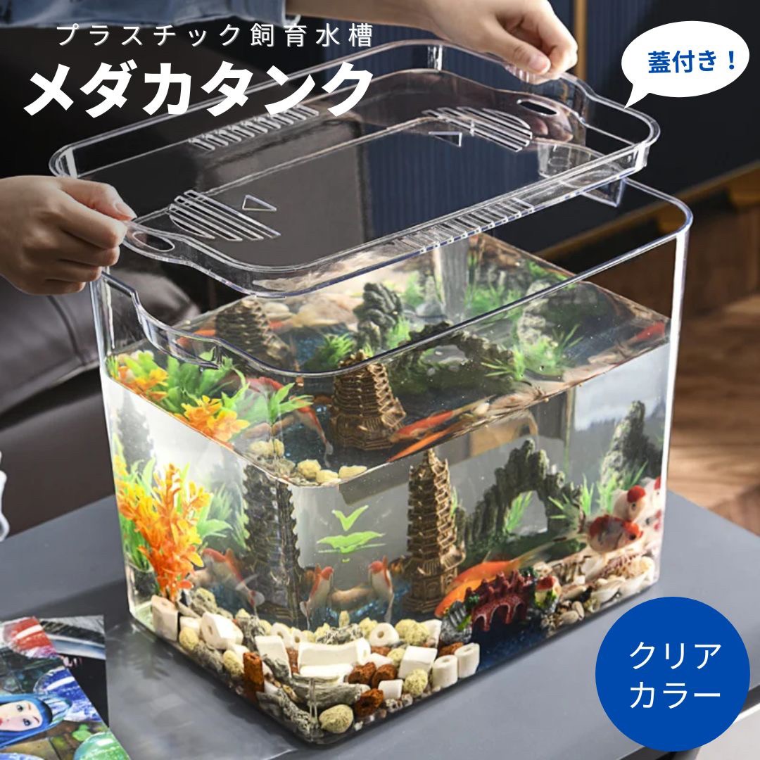 楽天AiO　Online　Store水槽 蓋付き メダ家 メダカタンク クリア インテリア 透明 プラスチック プラ水槽 アクアリウム テラリウム 自由研究 夏休み 熱帯魚 卓上 AQUARIUM すいそう おしゃれ メダカ かわいい オブジェ 金魚 めだか 亀 カメ トカゲ 爬虫類