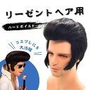 ウィッグ メンズ リーゼント ハードボイルド 渋い ロック かつら ヘア 髪の毛 コスプレ アウトドア ふさふさ 髪 hair ハロウィン かっこいい 綺麗 髪...