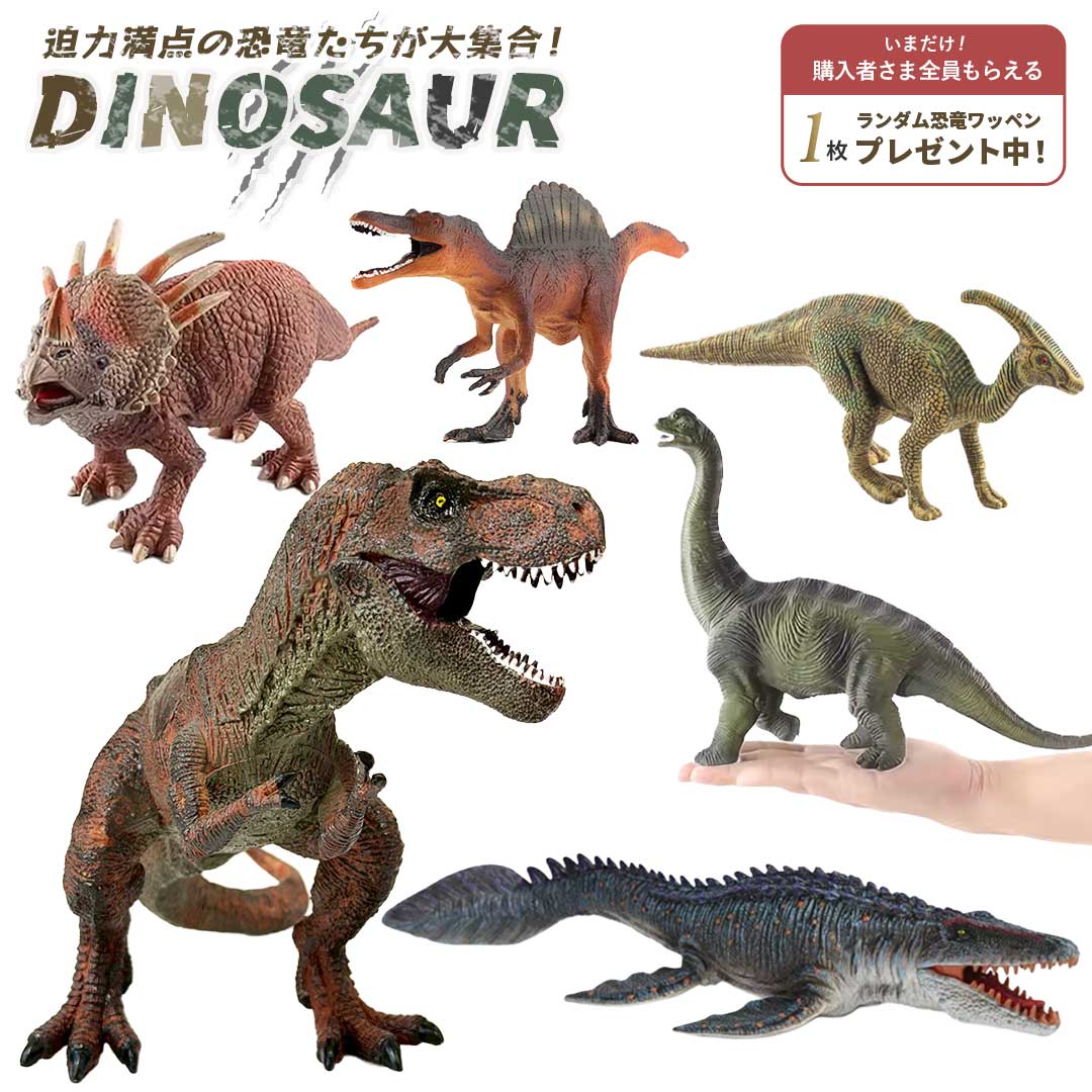 ڳŷ13ã۹ŵεåڥդ  ꥢ¤ ε ե奢 6 ꥢ Ϸ  ͷ  ʥ 饷å ...