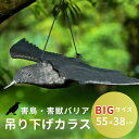 鳥よけ カラス 吊り下げ 虫除け 鳥避け 畑 庭 鳥おどし ベランダ 玄関 ハト避け 予防 畑 バード 防鳥 カラス対策 からすよけ 家庭菜園 農業用品 資材 ...