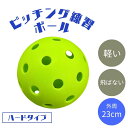 野球 投球練習用 1個 トレーニングボール 穴開きボール 超軽量 ハードタイプ 投球練習 ピッチング ピッチング練習 投球 キャッチング練習 キャッチング 飛ば...