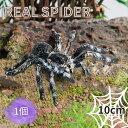 ハロウィン装飾 リアルスパイダー 置物 蜘蛛 1個 玩具 クモ スパイダー タランチュラ ハロウィン おもちゃ 虫 リアル 動物 模型 フィギュア 虫よけ 驚かす ドッキリ ユニーク 飾り デコレーション ディスプレイ パーティーグッズ