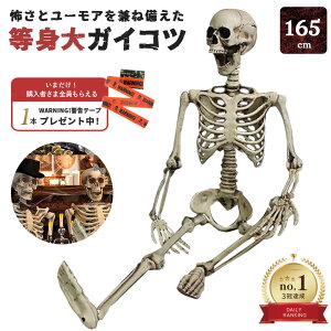 【人気商品】【楽天1位40冠達成】 今だけ限定特典|WARNINGテープ6m付き ドクロ 人体模型 骸骨 ガイコツ 骨 等身大 置物 約165cm ホラー リアル 本格的 誕生日 飾り付け 室内 置物 人形 仮装 怖い 恐怖 スケルトン ホームパーティ 骨 ボーン 渋い かわいい クリスマス