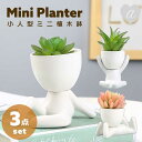 【予約商品】ミニ植木鉢 小人型 ホワイト 3体セット 陶器 セラミック ガーデニング 植木鉢 多肉植物 サボテン 園芸 プランター 置物 インテリア おしゃれ かわいい 個性的 ガーデン オブジェ 庭 ベランダ 屋外 室内 装飾 オーナメント 植物用ポット ミニポット 植物 花 観葉