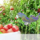 【在庫限り】鳥よけ レインボー フクロウ 梟 反射板 鳥よけ 猛禽類 吊り下げ ベランダ 玄関 ハト避け 予防 畑 バード 防鳥 カラス対策 防虫 からすよけ ...