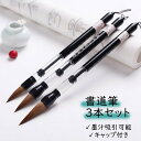 筆 書道 3本セット 墨汁吸引可能 習字 年賀状 絵手紙 季節のあいさつ状 和風 ペン 毛筆 教室 字 達筆 綺麗 鍛錬 趣味 仕事 大筆 中筆 小筆 初心者向...