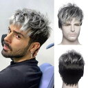 ウィッグ シルバー ウルフ ショート フルウィッグ ネット付き 銀髪 黒髪 silver ヘア ロング フルウィッグ 自然 軽量 小顔効果 ナチュラル サラツヤ...