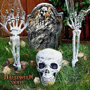 【スーパーセール10%OFF 6月11日迄】 【人気商品】 ハロウィン 骸骨 頭蓋骨 両腕 3点セット ガイコツ 骨 置物 ホラー リアル 本格的 誕生日 飾り付け 室内 室外 仮装 クリスマス用品 怖い 恐怖 スケルトン skeleton 骨 ボーン 渋い かわいい