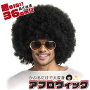 ウィッグ アフロ メンズ 渋い ロック ヒップホップ かつら ヘア 髪の毛 コスプレ アウトドア ふさふさ 髪 hair ハロウィン かっこいい 綺麗 イメチェ...