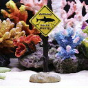 【ランキング1位6冠達成】 アクアリウム サメ 注意 看板 オブジェ 水槽 置物 シャーク shark インテリア 熱帯魚 魚 熱帯雨林 海水魚 淡水魚 ネオン...