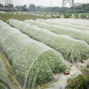 【スーパーセール10%OFF 6月11日迄】 ネット 防虫 害獣 畑 2.5m×10m バードネット 長さカット 可能 防鳥ネット カラス対策 からすよけ ゴミ...