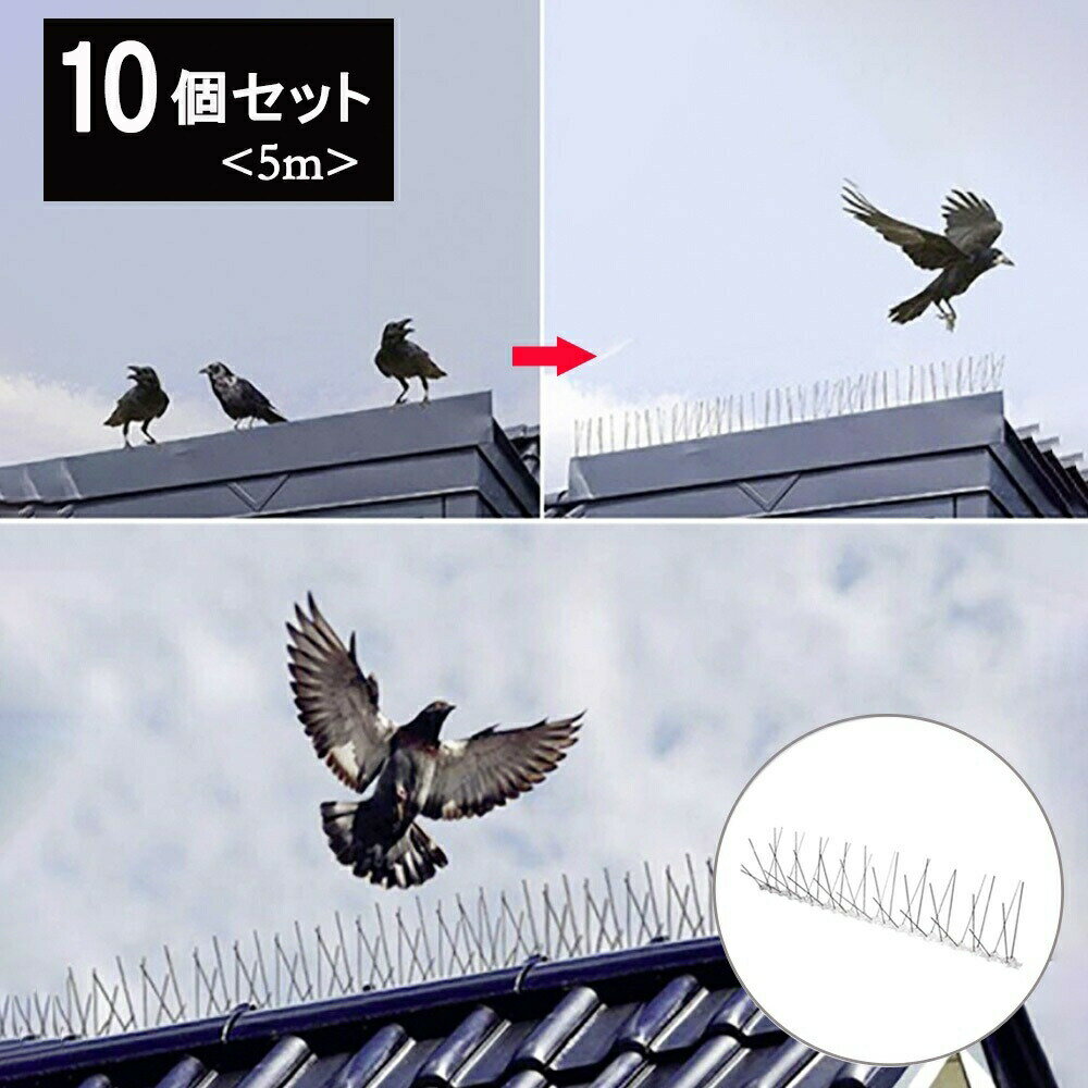 鳥よけ 針金 10個セット 害獣よけ スパイク 猫 ベランダ 玄関 ハト避け 糞害対策 侵入防止 予防 害獣 畑 バード 長さカット 可能 防鳥 カラス対策 からすよけ 家庭菜園 農業用品 資材 田畑 鳥害対策 送料無料 ハト ツバメ バレンタイン