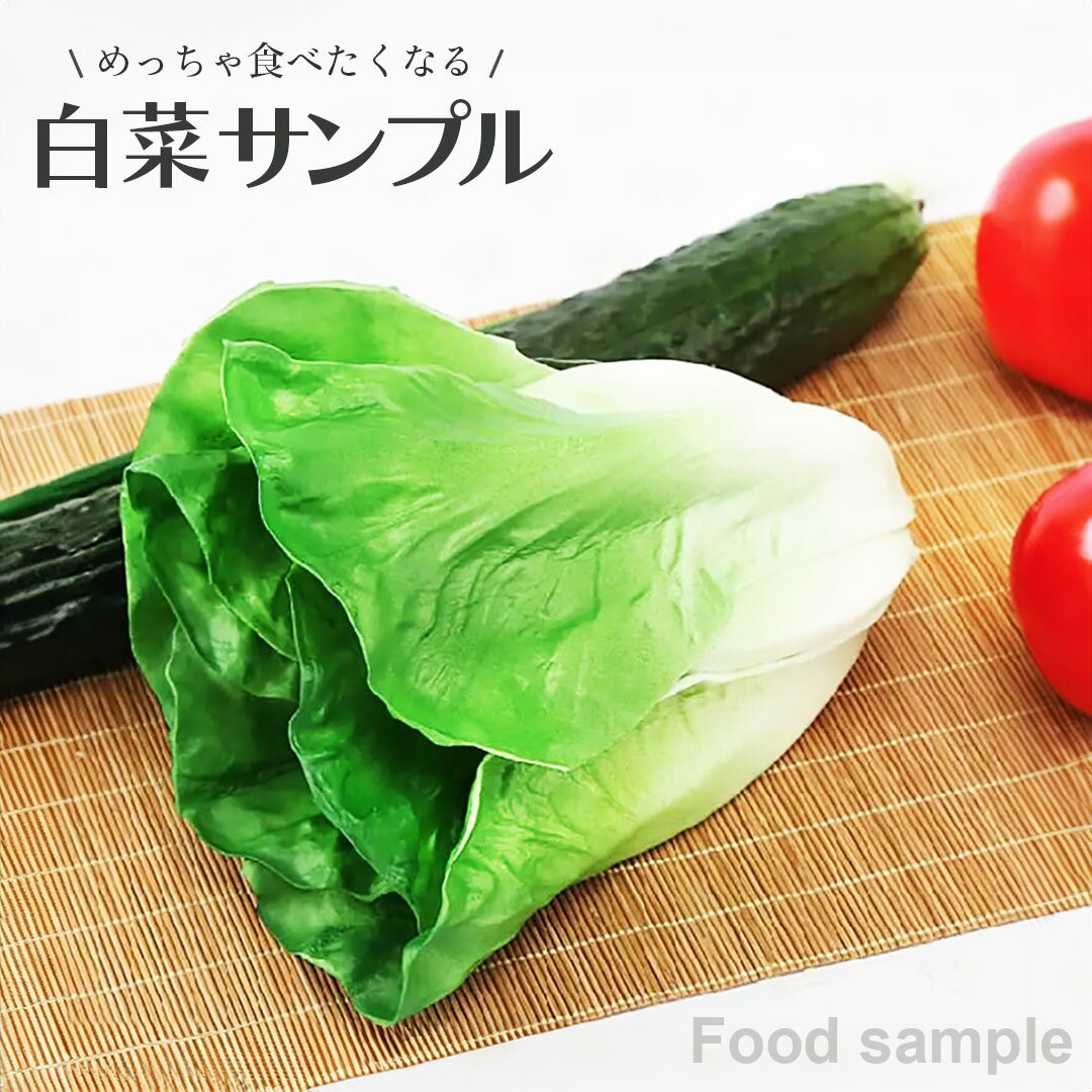 食品サンプル 白菜 リアル 野菜 はくさい サンプル品 見本 見本品 模造 フェイク イミテーション 材料 部材 店舗 装飾 ディスプレイ 居酒屋 置物 インテリア 小物 撮影 写真撮影 ギフト プレゼント SNS映え インスタ映え 記念写真