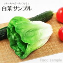 【在庫限り】食品サンプル 白菜 リアル 野菜 はくさい サンプル品 見本 見本品 模造 フェイク イミテーション 材料 部材 店舗 装飾 ディスプレイ 居酒屋 ...