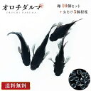 メダカ 卵 オロチダルマ 10個セット おまけ5個程度付属 泳ぐ宝石 超極上 交配 固定率 水槽 お ...