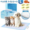【予約商品】ペット用品 ペット用シーツ L 60×60cm 40枚セット 大容量 愛犬 愛猫 トイレ トイレタイム トイレトレーニング 吸水シート 高吸収 消臭 防水 防臭 猫 ねこ 犬 いぬ 小型犬 中型犬 大型犬 高齢犬 小動物 トイレシート おしっこシート