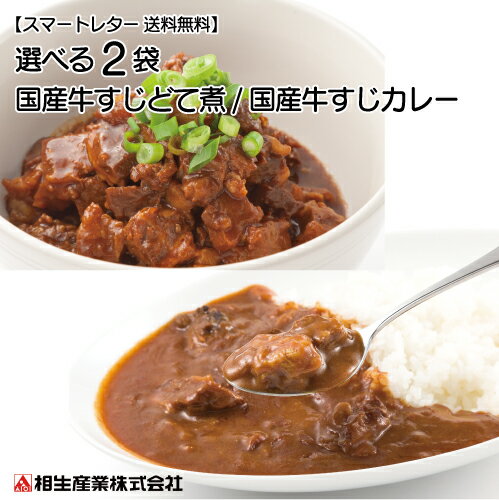 タレ屋が本気で作りました！　選べる2袋 国産牛すじどて煮/牛すじカレー　（スマートレター送料無料）