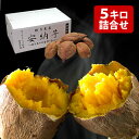 甘熟 安納芋(あんのういも) 約5kg S?M寸 鹿児島県種子島産 熟成貯蔵 安納紅芋 送料無料