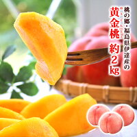 フルーツ(くだもの) 桃 福島県産・黄金桃