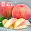 早生桃(もも) はなよめ 山梨県産 約1kg 5〜6玉入り 秀品 送料無料 6月中旬〜下旬ごろ出荷予定 | くだもの 果物 フルーツ ギフト 贈答用 夏 サマーギフト お中元 御中元 桃 もも モモ 長寿祝い お祝い 誕生日プレゼント