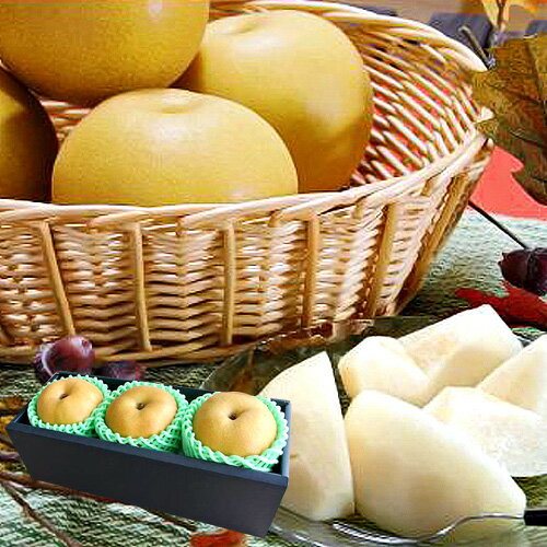 生産者限定 フルーツ ギフト 源ちゃん農園 新高 約1.5kg (特大3玉) 新潟県産 大玉 梨 送料無料 | プレゼント 贈り物 フルーツ ギフト くだもの 和梨 米寿 還暦 祝い 喜寿 卒寿 祖母 80代 お祝い 傘寿 出産 内祝い 古希 百寿 お見舞い 長寿祝い 還暦祝い 10月 11月 秋 ナシのサムネイル