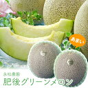 肥後グリーンメロン 2玉入り 約3.6kg前後 熊本県産 永松農園 送料無料 | フルーツ 果物 くだもの お取り寄せ お中元 5月 6月 父の日 贈り物 ご贈...