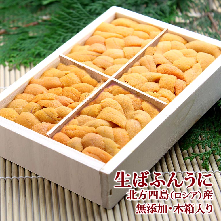 バフンウニ 無添加 生ばふんうに 北方四島産(ロシア) 約150g 木箱入り 送料無料 | 誕生日プレゼント 還暦祝い 喜寿 祝い 米寿 80代 お祝い 傘寿 還暦 古希 卒寿 長寿祝い ウニ バフンウニ ばふんうに うに 生うに 生ウニ 海鮮ギフト