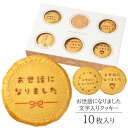 お世話になりました クッキー Aタイプ 10枚入り 個包装 短納期 | お菓子 スイーツ 焼菓子 詰め合わせ 文字入り メッセージ 定年 退職 引っ越し 引越し...