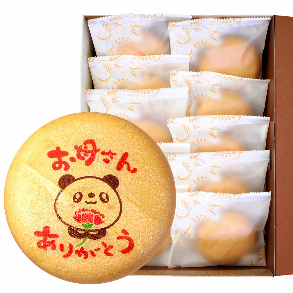 母の日 ギフト お菓子 お母さん ありがとう 最中 もなか 10個 個包装 箱入り | 送料無料 ス ...