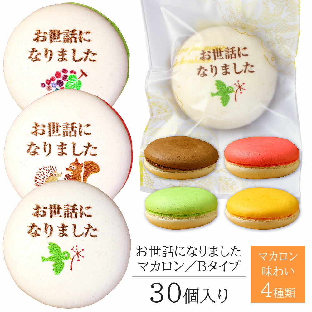 お世話になりました マカロン Bタイプ 30個入り 個包装 短納期 送料無料 | メッセージ入り スイーツ お菓子 詰め合わせ 文字入り お祝い 内祝い 御礼 ...