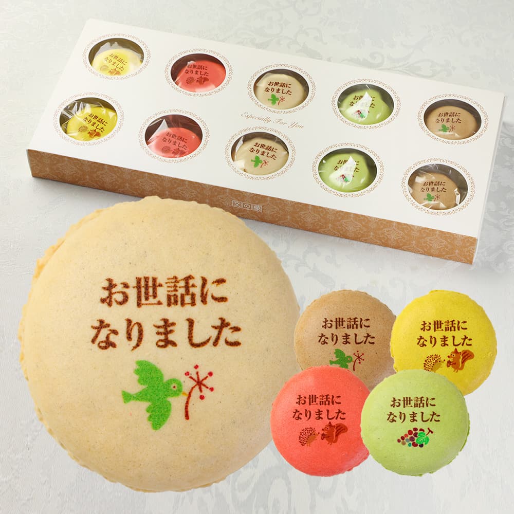 お世話になりました マカロン Bタイプ 10個入り 個包装 短納期 送料無料 | メッセージ入り スイーツ お菓子 詰め合わせ 文字入り お祝い 内祝い 御礼 お返し 感謝 祝い ギフト プレゼント 出産 結婚 定年 退職 離職 転職 栄転 送別 会 引越し 引っ越し ご挨拶