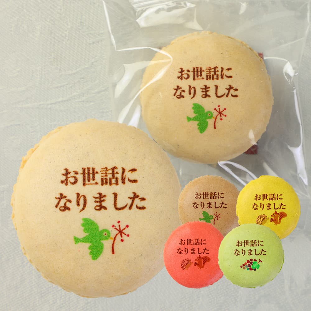 お世話になりました マカロン Bタイプ 24個入り 個包装 短納期 送料無料 | メッセージ入り スイーツ お菓子 詰め合わせ 文字入り お祝い 内祝い 御礼 お返し 感謝 祝い ギフト プレゼント 出産 結婚 定年 退職 離職 転職 栄転 送別 会 引越し 引っ越し ご挨拶