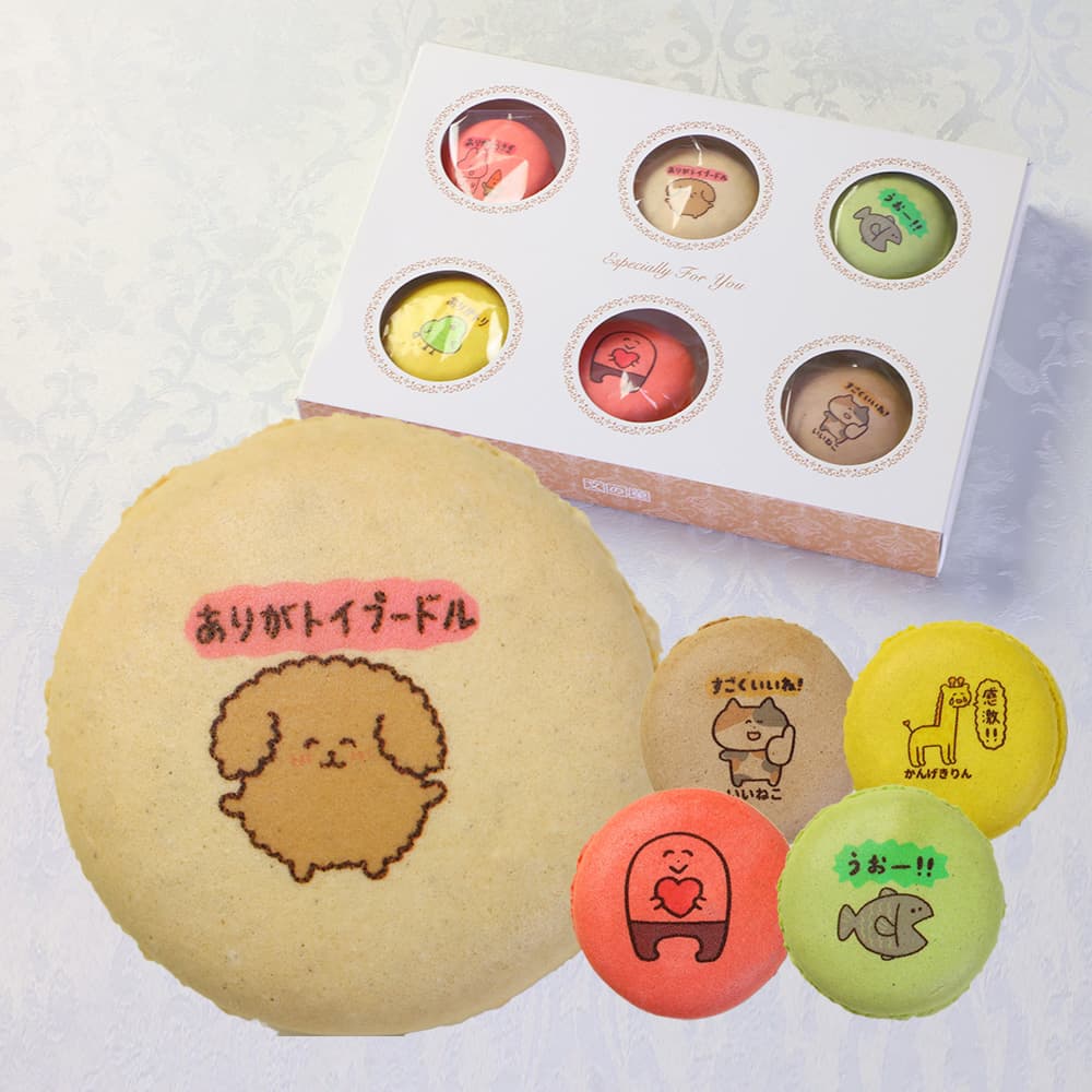 よく一緒に購入されている商品お菓子 ギフト ありがとうございまスイーツ マ2,052円お菓子 ギフト ありがとうございまスイーツ マ5,832円母の日 ギフト スイーツ おかあさん ありがと2,052円 商品詳細とお届け方法 商品名 マカロン 内容量 6個入り（ショコラブラン1個、フレーズ2個、抹茶1個、メープル1個、バナナ1個） 原材料名 原材料名はこちらをご確認ください。 特定原材料名 卵、乳、アーモンド、大豆※本製品工場内では小麦・米を含む製品を製造しております。 大きさ 1個：直径47mm×高さ20mm前後 賞味期限 出荷日より30日間（商品に記載） 保存方法 冷暗所にて保存 配送 宅配　常温便※夏場（7～9月）はクール冷蔵便で発送します。到着後は冷暗所にて保存をお願いします。 備考 ※マカロンの味・絵柄などの組み合わせの変更やご指定はご容赦いただいております。また、在庫状況に応じて味の組み合わせが途中で変わる場合がございます。 ※お届け日は、ご注文ステップでご指定いただけます。 ※ご要望は、お買い物かごの中のコメント欄にご記入ください。 ※こちらの商品は会津若松市の製造工房より出荷いたします。 ※箱、包装、シール等のデザインは変更になる場合がございます。 【季節の贈り物に】 お年賀・迎春・お正月・年末年始・バレンタイン・ホワイトデー・卒業式・卒園式・入学式・入園式・母の日・父の日・御中元・お中元・暑中御見舞・残暑御見舞・敬老の日・ハロウィン・クリスマス・冬ギフト・お歳暮・御歳暮 【ちょっとした手土産・プレゼントに】 御祝・御礼・謝礼・御挨拶・粗品・お使い物・贈答品・ギフト・プレゼント・お土産・手土産・贈りもの・進物・お返し 【お祝い・お返しの品に】 引き出物・お祝い・内祝・結婚祝・結婚内祝・出産祝・主産内祝・引き菓子・快気祝・快気内祝・プチギフト・結婚引出物・七五三・卒業祝い・卒園祝い・入学祝い・入園祝い・進学内祝・入学内祝・寿・開店祝・開業祝・新築祝 【年忌法要など仏事の品に】 御霊前・御仏前・お盆・新盆・初盆・お彼岸・法事・法要・仏事・弔事・志・粗供養・満中陰志・御供・御供物・お供え・お悔やみ・命日・月命日・葬儀・仏壇・お墓参り・香典返し類似商品はこちらお菓子 ギフト ありがとうございまスイーツ マ2,052円お菓子 ギフト ありがとうございまスイーツ マ5,832円お菓子 ギフト ありがとうございまスイーツ ク2,106円お菓子 ギフト ありがとうございまスイーツ ク6,696円お菓子 ギフト ありがとうございまスイーツ ク5,022円動物っこファミリー マカロン 10個入り 個包5,832円動物っこファミリー マカロン 5個入り 個包装2,970円動物っこファミリー マカロン 3個入り 個包装2,052円お菓子 ギフト ありがとうございまスイーツ バ6,156円2026/09/04 更新