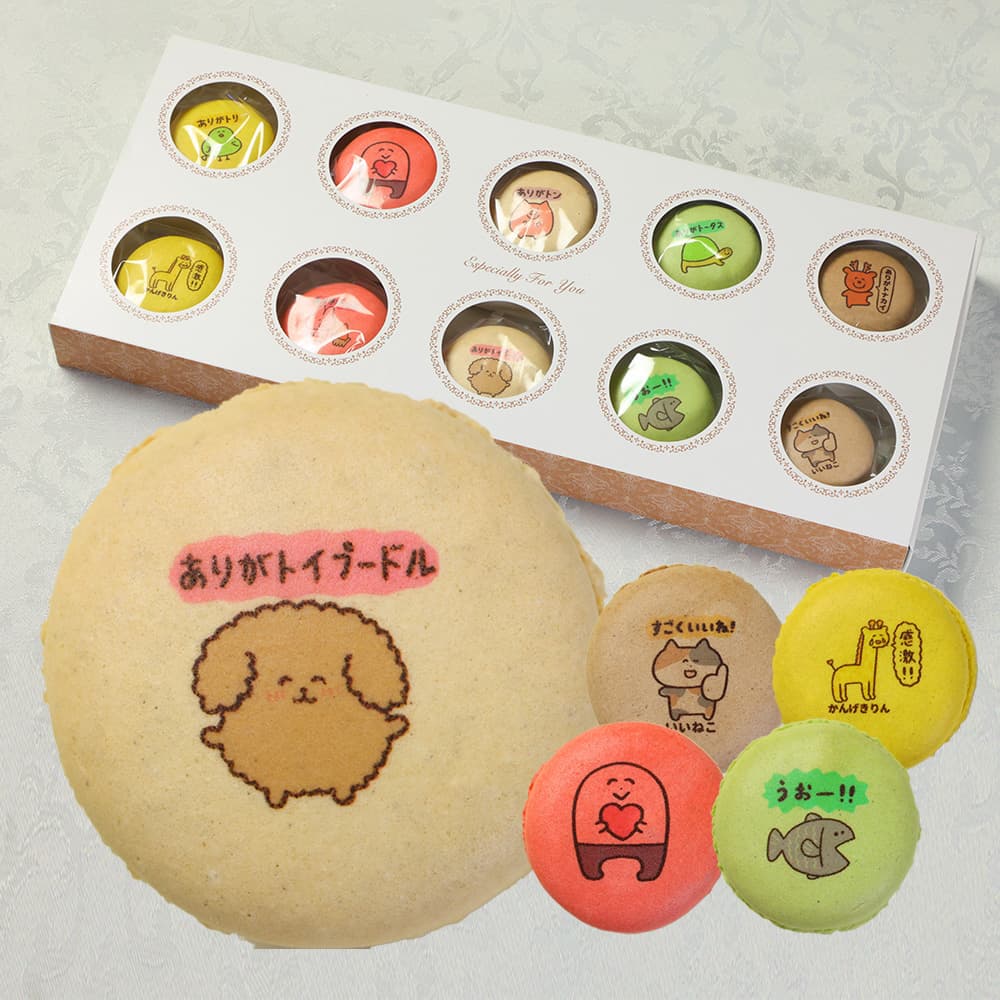 お菓子 ギフト ありがとうございまスイーツ マカロン 10個入り 個包装 送料無料 | かわいい お菓子 スイーツ 詰め合わせ 誕生日 プレゼント おもしろい ダジャレ ジョーク おしゃれ イラスト 動物 プチギフト 子供 女性