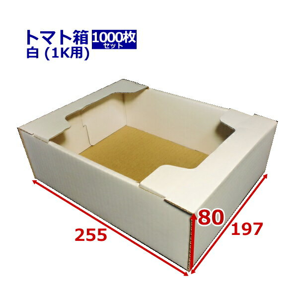 ダンボール箱 トマト専用 1k用 白 (255×197×80) (無地×1000枚) 送料無料 日本製 ダンボール 段ボール ..