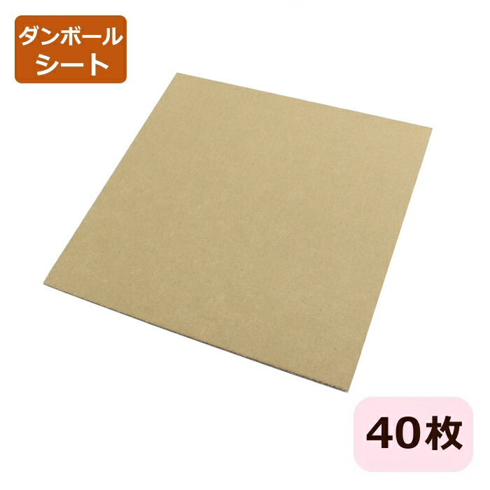 Rakuten - ダンボールシート LPレコードサイズ (310×310×3mm) 40枚 レコード 梱包 日本製 ダンボール板 12インチ 盤 収納 保管 段ボール板 正方形 薄型 梱包材 梱包資材 ダンボールパッド ダンボールアート 緩衝材 台紙 工作用 工作 板ダンボール 保護ダンボール 31cm角