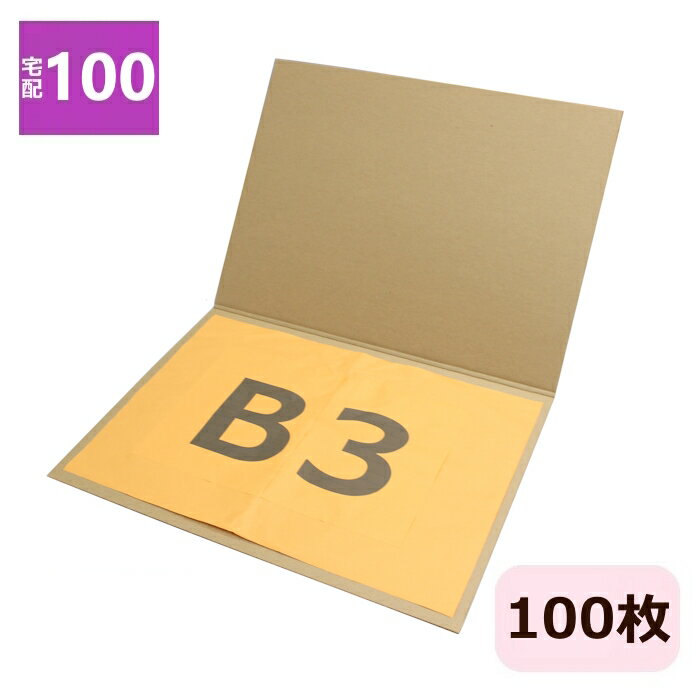 Rakuten - ダンボール板 B3 (540×400×3mm) 100枚 日本製 ダンボールシート 写真 B3サイズ 2つ折 段ボール板 ビジュアルボード 発送 薄型 100サイズ 梱包 梱包資材 梱包材 ダンボールパッド フォト 保管 ポスター 台紙 工作用 シート B3 宅配100