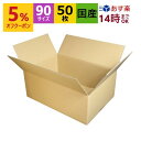 ダンボール箱 段ボール 90(100)サイズ (420×290×170) (無地×50枚) ゆうパック90 アパレル あす楽 日本製 ダンボール 段ボール箱 梱包用 通販用 小物用 ネットショップ オークション フリマアプリ 発送用 宅配 引越し 引っ越し 収納 薄型素材 無地ケース