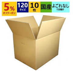 https://thumbnail.image.rakuten.co.jp/@0_mall/aipabox/cabinet/06176123/06281084/120z010cp.jpg