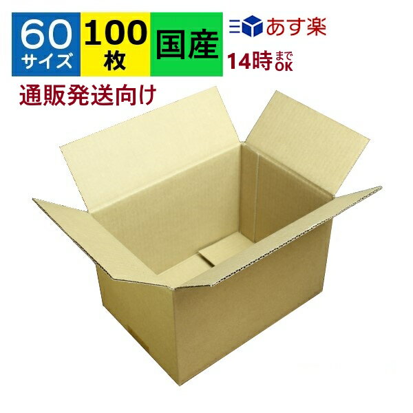 あす楽 ダンボール箱 段ボール 60サイズ (245×170×165) (無地×100枚) 送料無料 日本製 ダンボール 段ボール箱 梱包 梱包用 通販用 小物用 宅配 発送用 ネットショップ オークション メルカリ フリマアプリ 引越し 引っ越し 収納 薄型素材 無地ケース