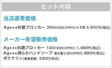 中身が見える福袋 2021 福袋 除菌スプレー 6点セット 銀イオン 除菌スプレー 日本製 ノンアルコール ウイルス カビ 除菌 抗菌 消臭 銀イオン 感染 予防 安心 ミスト 感染症対策 介護 飲食店 ドアノブ 手すり ハンドソープ 【送料無料 あす楽対応】