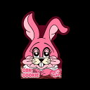 【SLEEPY RABBIT】CBNクッキー420mg ダブルチョコ味 抹茶味お選べいただけます。