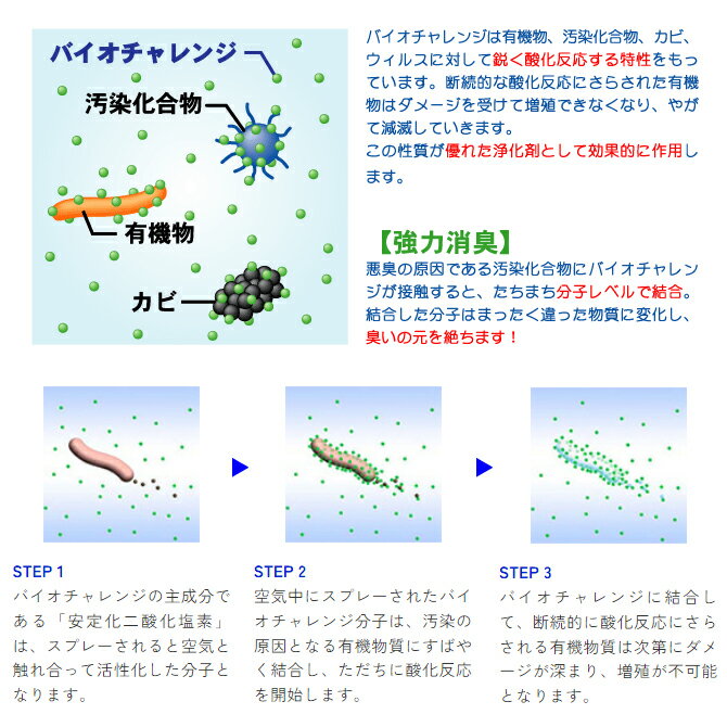 ��3��1���ޤǥݥ����12�ܡۥХ��������� 1��åȥ�ͤ��ؤ��� 2�ܥ��åȡ��ڥå� ���ݾý� ������̵���ۤ��Ϥ����ʾ�����¡�2027ǯ1��31��