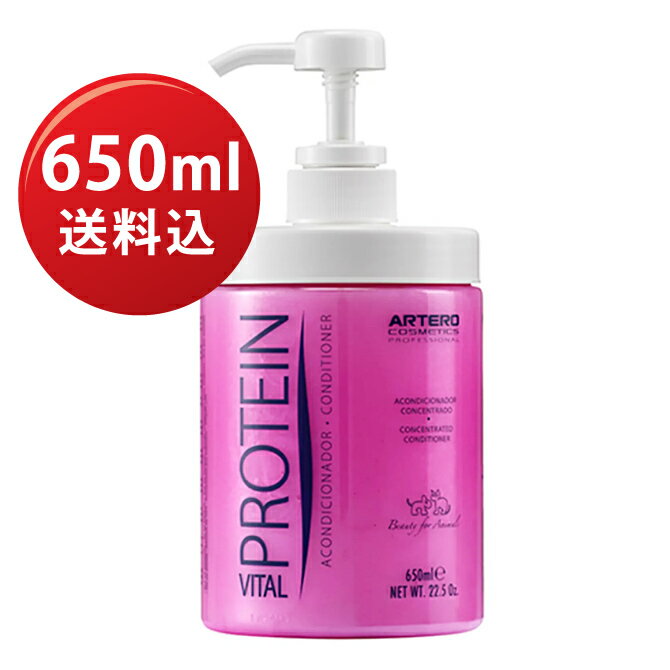 ARTEROץƥХ륳ǥʡ650ml