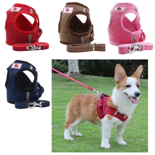 犬 ハーネスリードセット 　犬 ハーネス 小型犬中型犬　コーデュロイ生地 胸あて式 胴輪 ハーネス リード 犬 イヌ ドッグ dog　犬用 ペット用 犬具 散歩 お出かけ 簡単装着　メール便送料無料のサムネイル