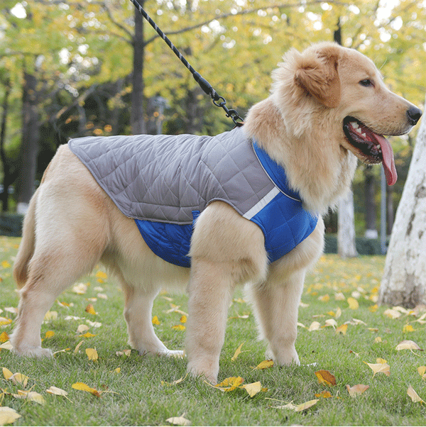 犬服 犬 ハーネス 小型犬 中型犬 冬 犬の服...の紹介画像3