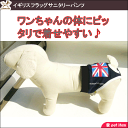 犬用マナーパンツ 犬用 サニタリーパンツ 犬用パンツ 犬用生理パンツ 犬用オムツカバー おむつカバー ドッグウェア ドッグウエア【メール便送料無料(ネコポス)】【あす楽対応】