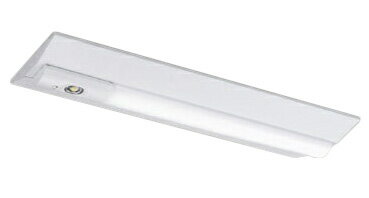 岩崎　LEDioc　FLOOD　NEO（レディオック　フラッド　ネオ）　LED投光器　40クラス　超広角タイプ　白色（4000K）タイプ　本体色：ダークグレイ　LED一体形　耐塩塗装　ECF4040SW/WSAN8/DG ※受注生産品