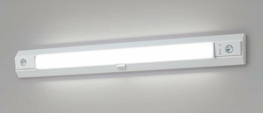 (手配品) 天井直付型・壁直付型 LED (昼白色) 非常用ベースライト 階段通路誘導灯・一体型階段灯40形低光束 30分型・ミドルタイプ NNCF42135LE9 パナソニック